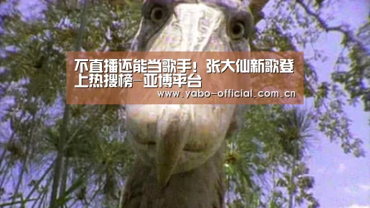 亚博网站