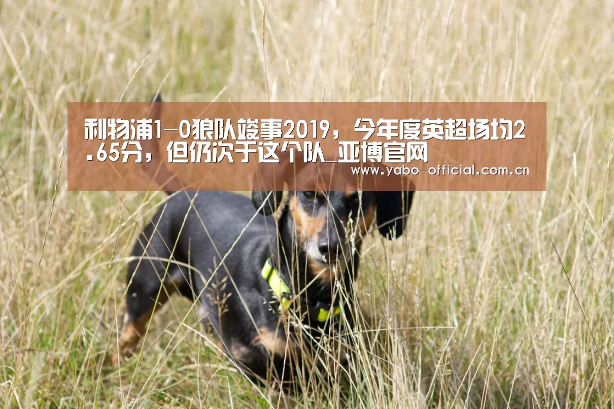 利物浦1-0狼队竣事2019,今年度英超场均2.65分,但仍次于这个队_亚博官网(图1) 亚博网站